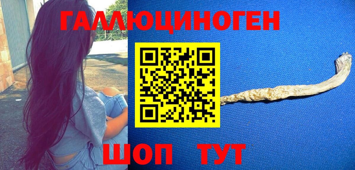 Галлюциногенные грибы Psilocybe  Вход с VPN  Туапсе 